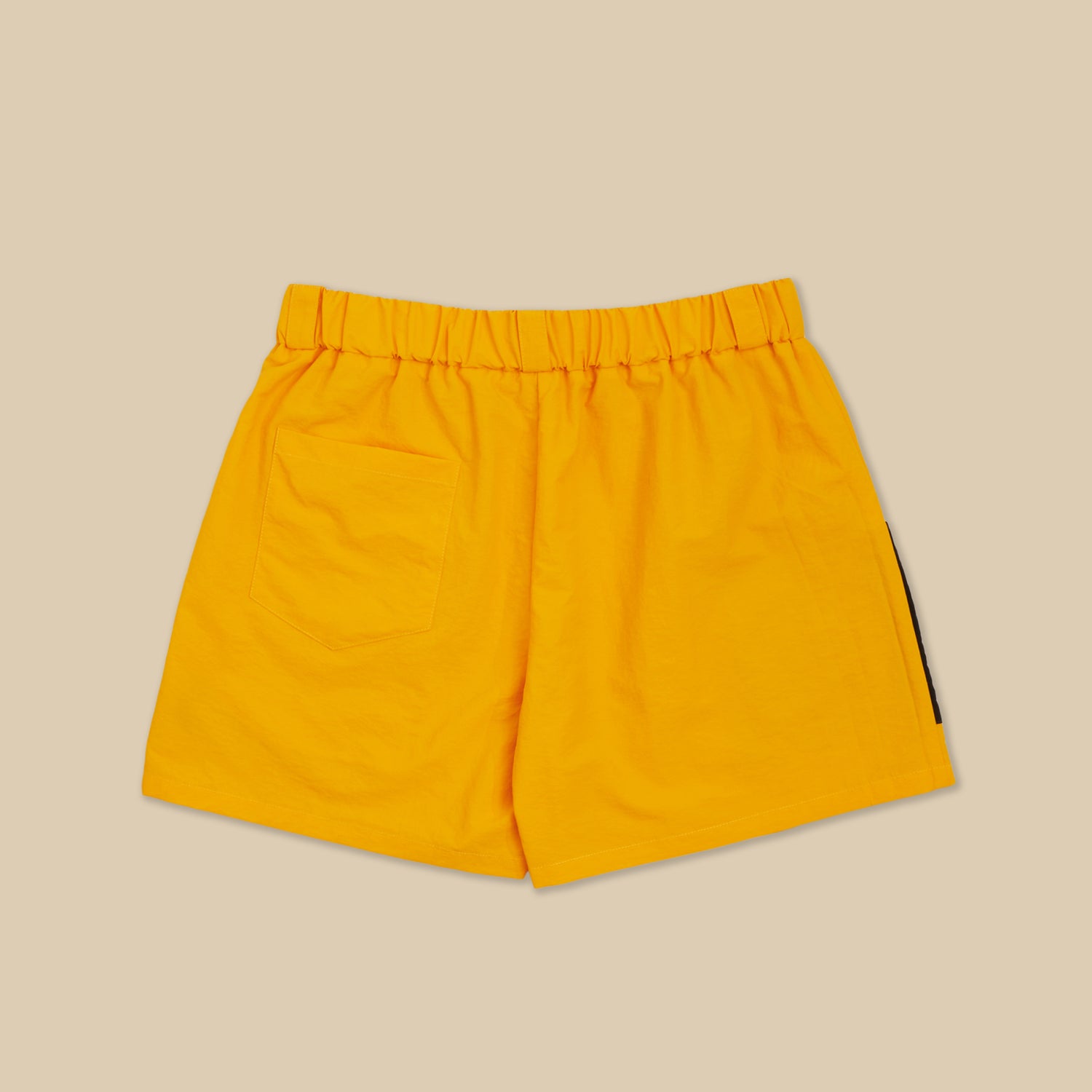 Lost Files Outdoor Trail Cargo Shorts