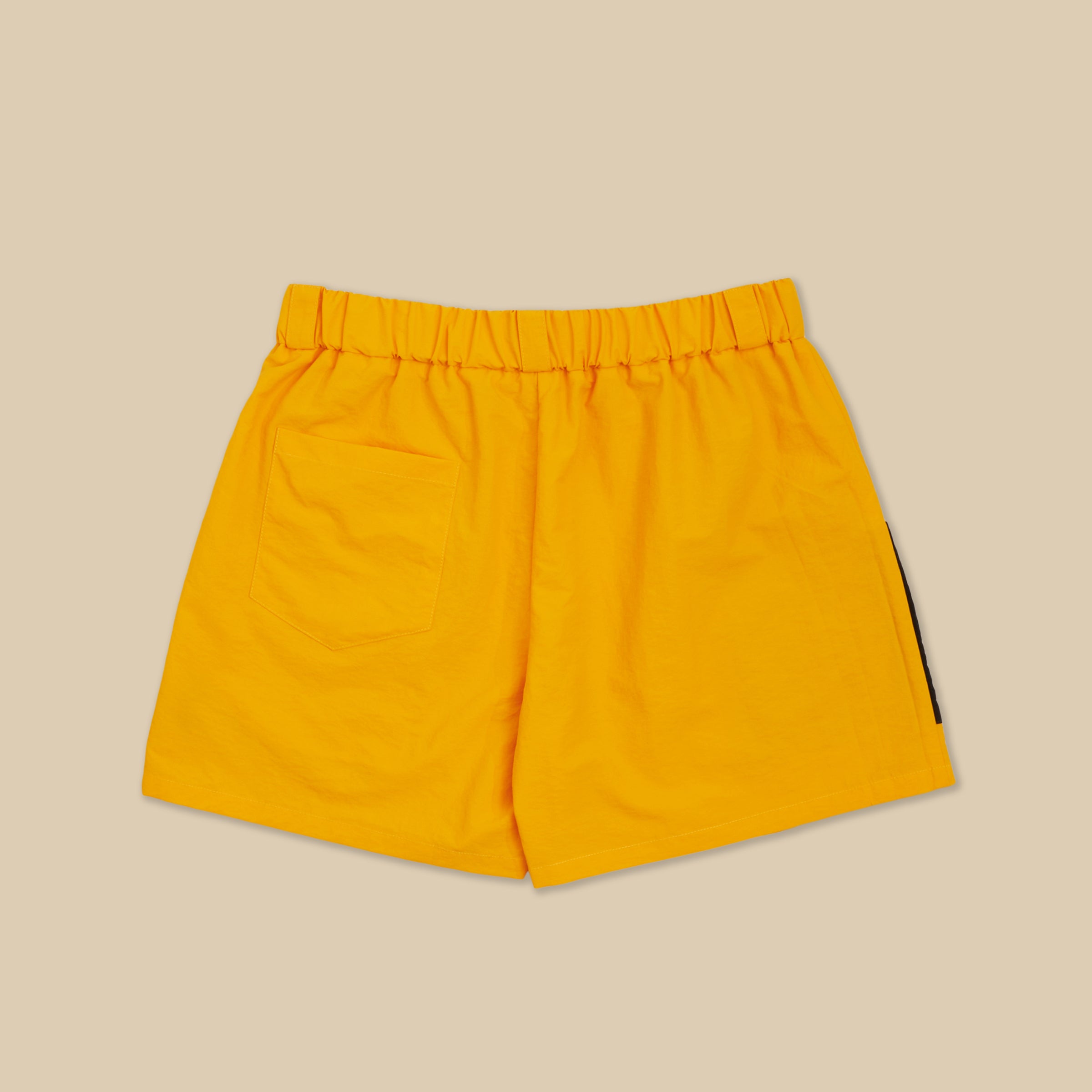 Lost Files Outdoor Trail Cargo Shorts
