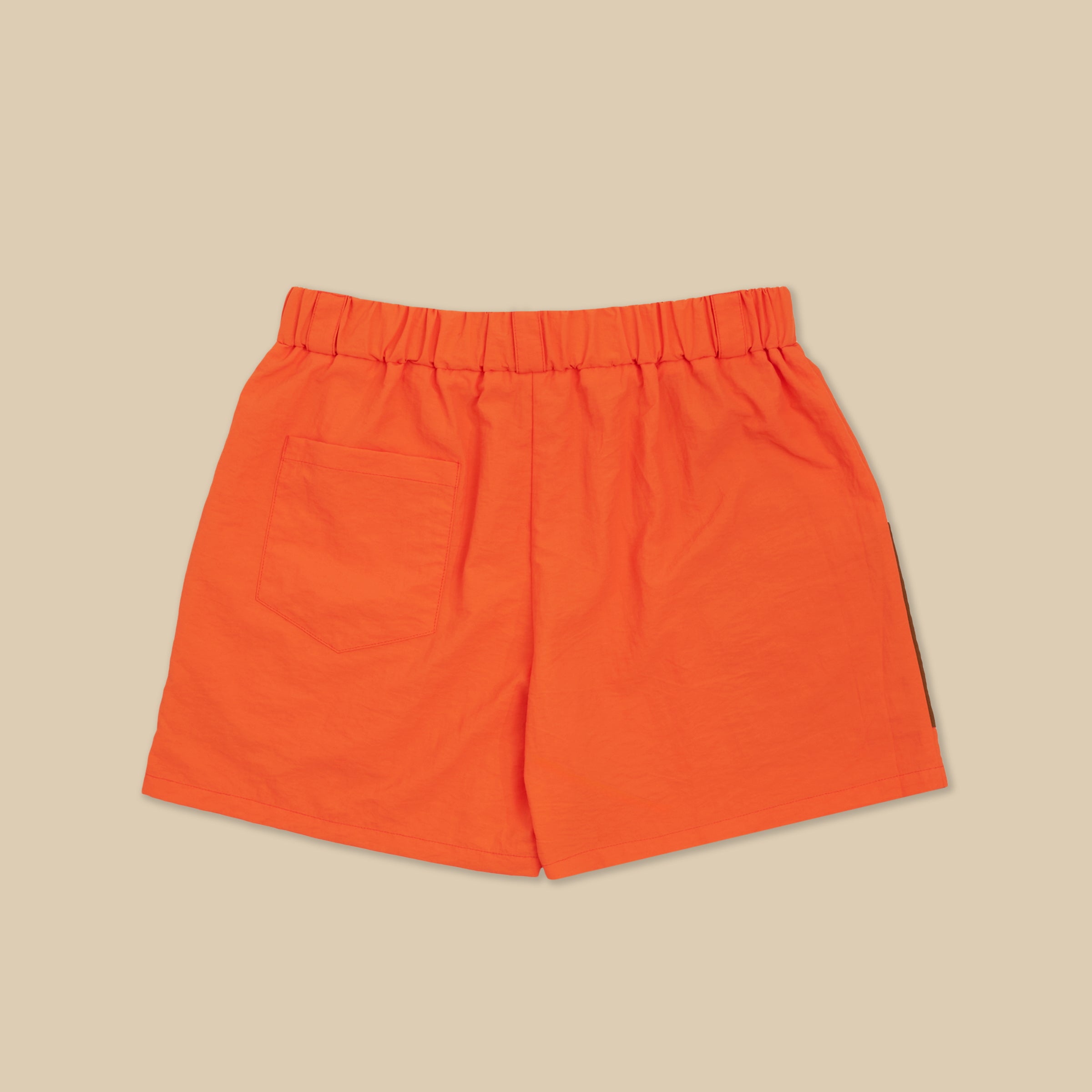 Lost Files Outdoor Trail Cargo Shorts