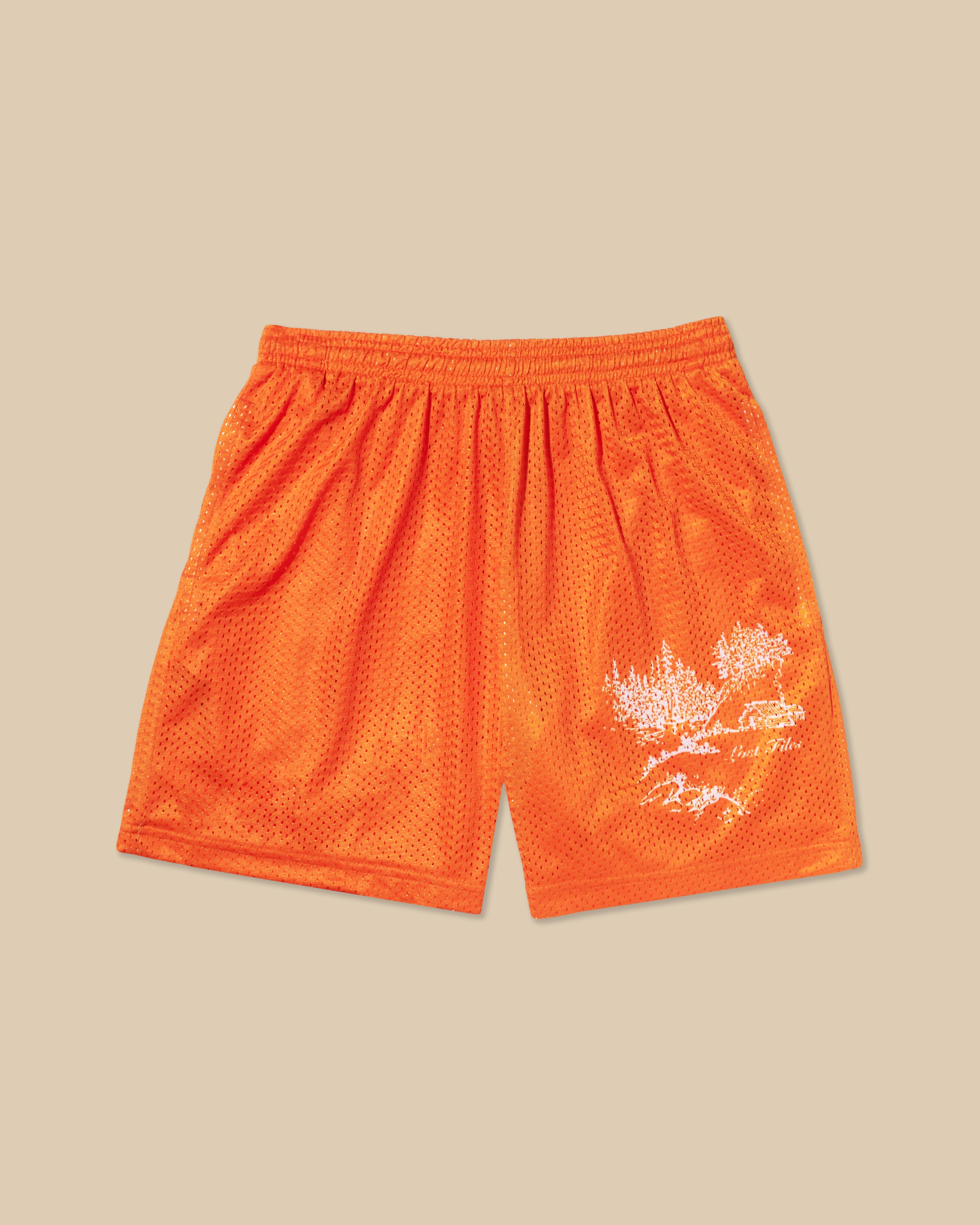 Cabin Scene Basic Shorts - Orange